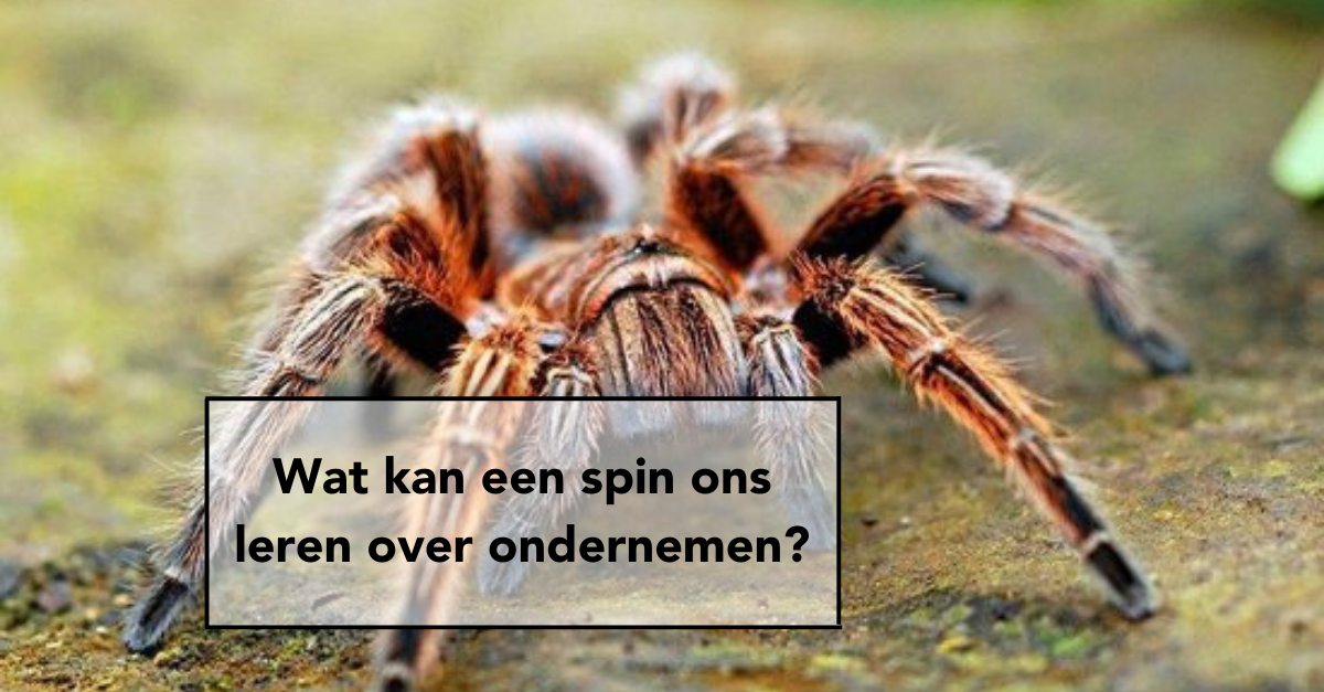 inspiratie, e-volve, blog, ondernemen