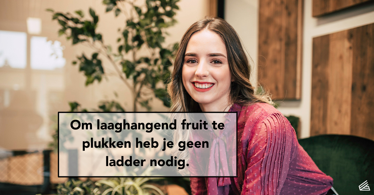 Laaghangend fruit investeren social media