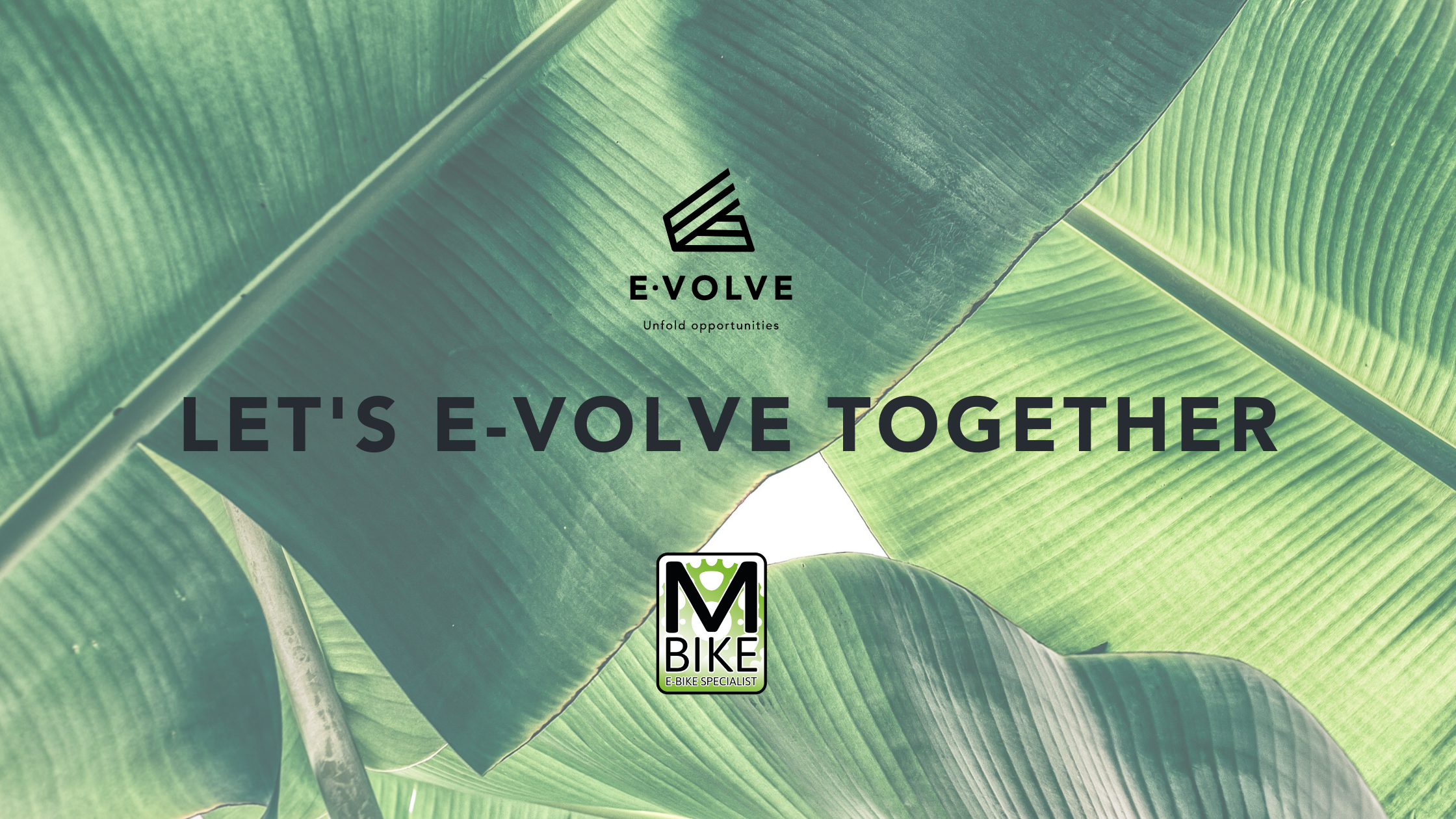 partnership