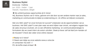 Vaardigheden en ervaringen_LinkedIn